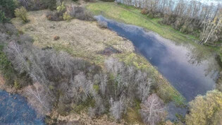Vom Biber und den anhaltenden Niederschlägen verursacht: Diese Wiese im Schutzgebiet Isla Mulin Sut bei Castrisch steht aktuell unter Wasser – inzwischen noch deutlich mehr als auf diesem Luftbild von Mitte November.