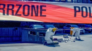 Der Fall eines gestohlenen Gemäldes: Als Kommissarin oder Kommissar der Kantonspolizei übernehmt ihr die Ermittlungen.