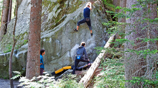 Boulderparadies: Im Magic Wood warten zahlreiche Gneisblöcke darauf, erklommen zu werden.