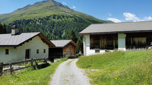 Besondere Häuser: Die Val Tuors ist bekannt für ihre Maiensässsiedlungen, die halbjährig bewohnt sind.