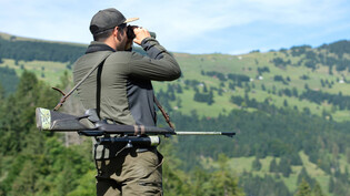 Ausschau halten: Zwischen 5500 und 5700 Jägerinnen und Jäger sind ab dem 1. September wieder im Wald unterwegs.