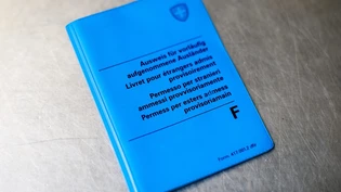 Lebenswende Ausweis F Auslaender