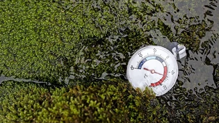 Heisse Angelegenheit: 14 Grad warm ist das Wasser im Winter.