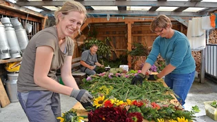 «Blüemlisalp»: Rebekka Zimmermann (links), Peter Villiger und Sonja Kundert bereiten den Blumenschmuck für die Kühe vor.