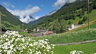 Bauen auf dem Land: In Engi ist eine Bauparzelle - respektive der geforderte Verkaufspreis - Grund für Unmut.