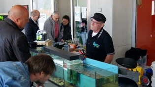 2017 fand in Domat/Ems die erste Bündner Aquarienbörse statt.