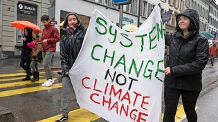 «Systemwechsel statt Klimawandel»: Lösungen soll die Politik finden, bevor es dem Klima zu heiss wird.