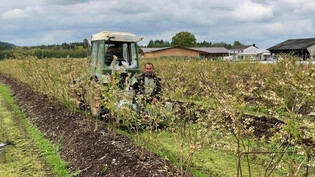 Mitarbeiter der Jucker Farm AG verteilen Frostkerzen zwischen den Pflanzenreihen.