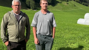 Grosse Verluste: Über 50 Schafe wurden auf der Alp von Fredi Bernet und Samuel Elmer vom Wolf gerissen.