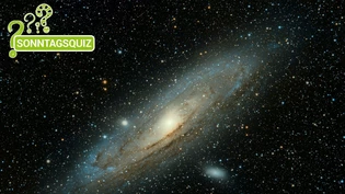 Wer weiss was: Wenn ihr uns sagen könnt, was hier abgebildet ist, seid ihr ready für das Quiz.