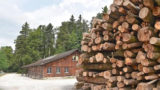 Neuaufbau nötig: Auf dem Werkhof in der Joner Grunau müssen sich neue Kräfte ums Holz kümmern.