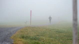 Grau: Blick auf einen Jogger auf einem Weg oberhalb von Flims. 