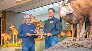 Für Ausstellung präpariert: Museumsdirektor Ueli Rehsteiner (rechts) und Museumspädagoge Flurin Camenisch präsentieren ein Wildschweinbaby, welches derzeit hergerichtet wird.