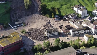 Vorübergehende Beruhigung: Im Morgenlicht präsentiert sich das Hauptschadengebiet in der Plattenau mit der Wagenrunse, deren Wasser die Rutschmasse verflüssigt und verteilt hat.