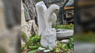 Aus der Höhe geholt und ruiniert: Die Adlerskulptur von Guido Keller wurde beschädigt auf der Jochstrasse in Chur aufgefunden. Aus der Höhe geholt und ruiniert: Die Adlerskulptur von Guido Keller wurde beschädigt auf der Jochstrasse in Chur aufgefunden.
