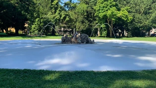 Keine saubere Sache: Der Brunnen im Volksgarten schäumt am Sonntag.