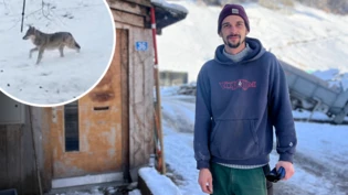 Seit zwei Jahren in Matt: Seit Stefan Androschin und seine Familie den Hof übernommen haben, hatte er schon einige Begegnungen mit Wölfen.