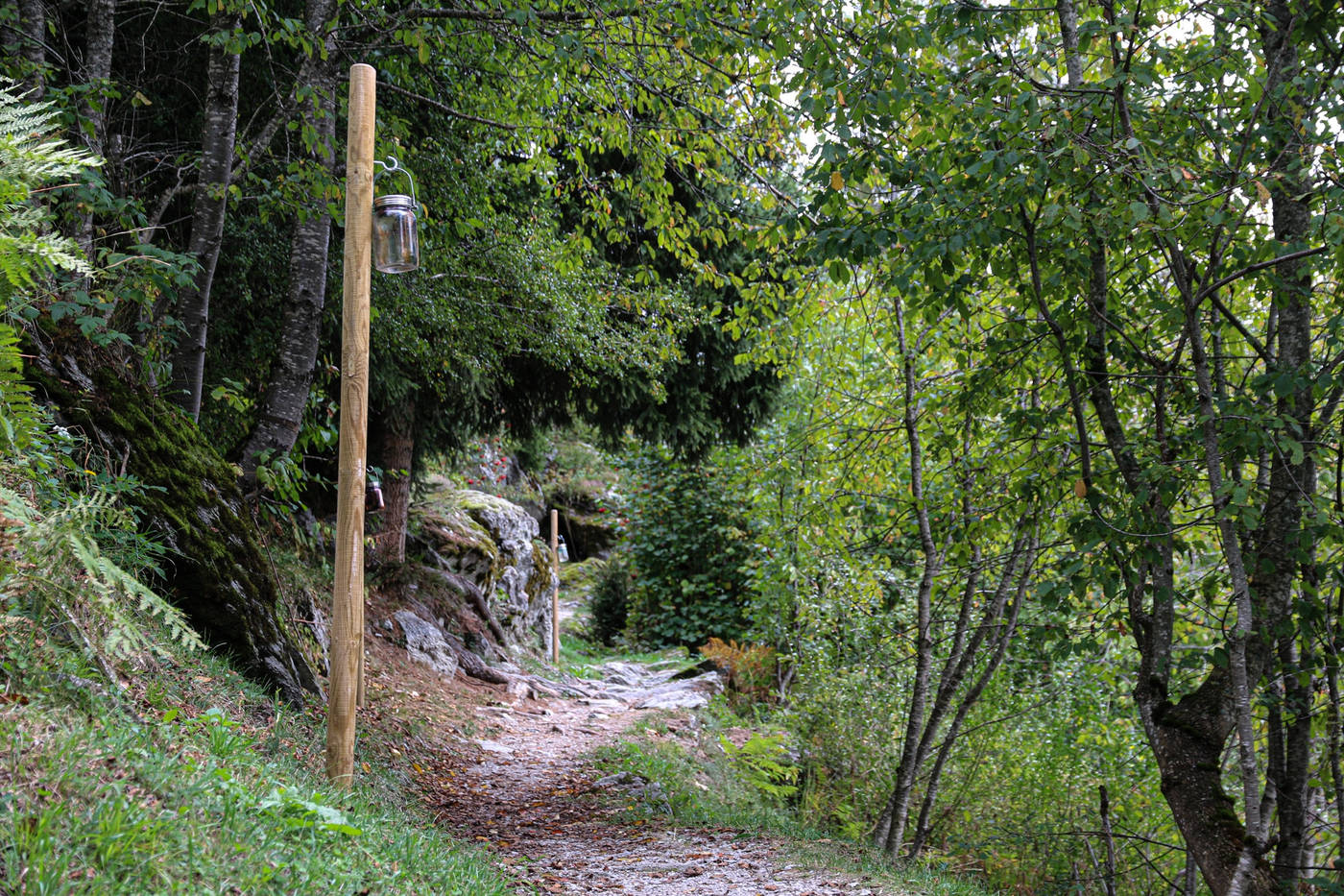 Auf naturbelassenen Pfaden: Der Rundweg kann individuell oder in geführten Gruppen besucht werden.