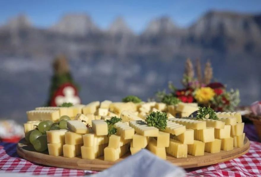 Käse wohin das Auge reicht: An den Verkaufsständen werden Besucherinnen und Besucher über die Alpen informiert und können Alpkäse degustieren und kaufen.