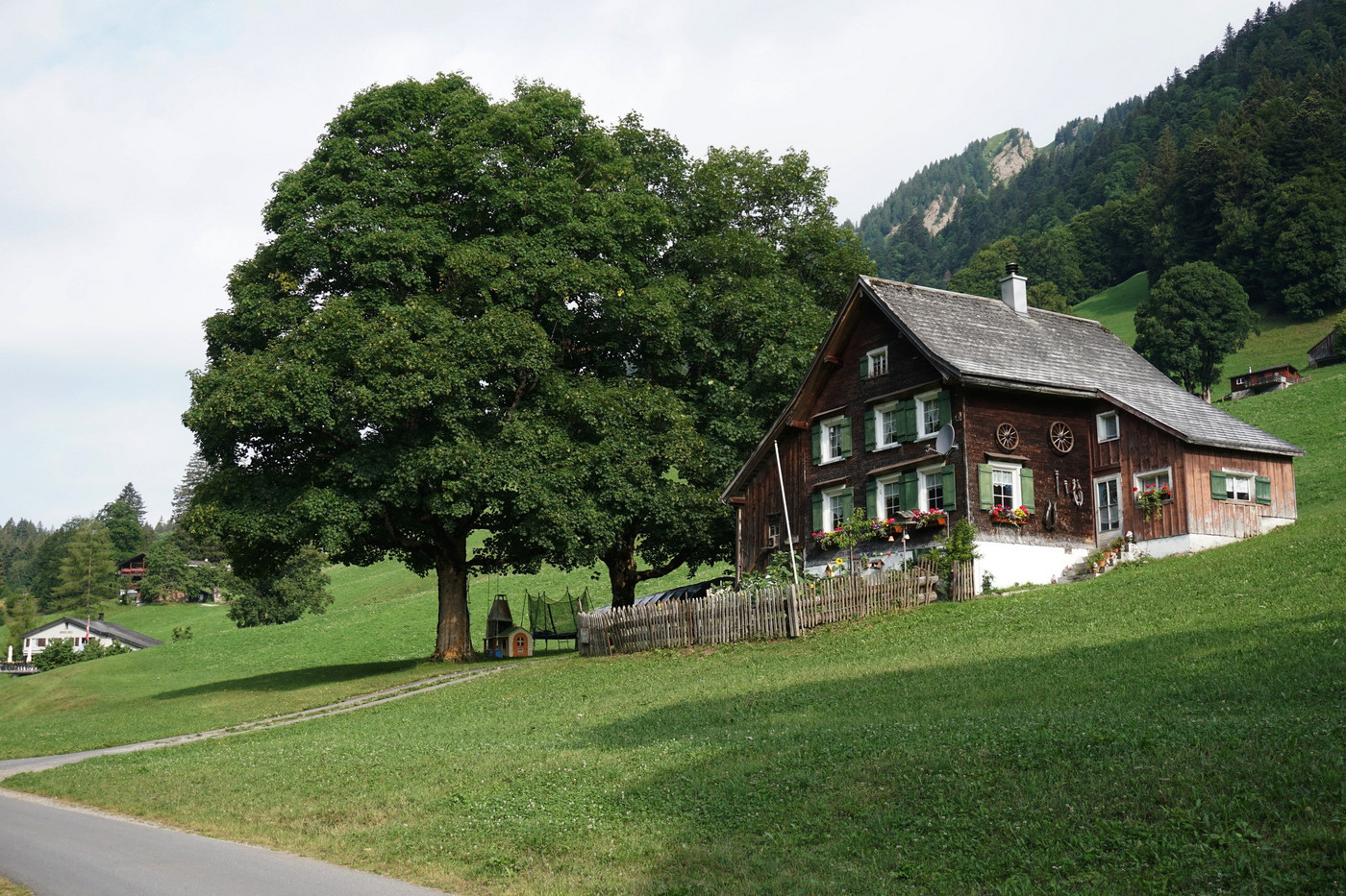 Alte Bergahorne bieten Lebensraum für seltene Tier-, Moos- und Flechtenarten. Gleichzeitig schaffen sie wie hier im Niederurnertäli Charakterlandschaften und vermitteln ein Heimatgefühl.