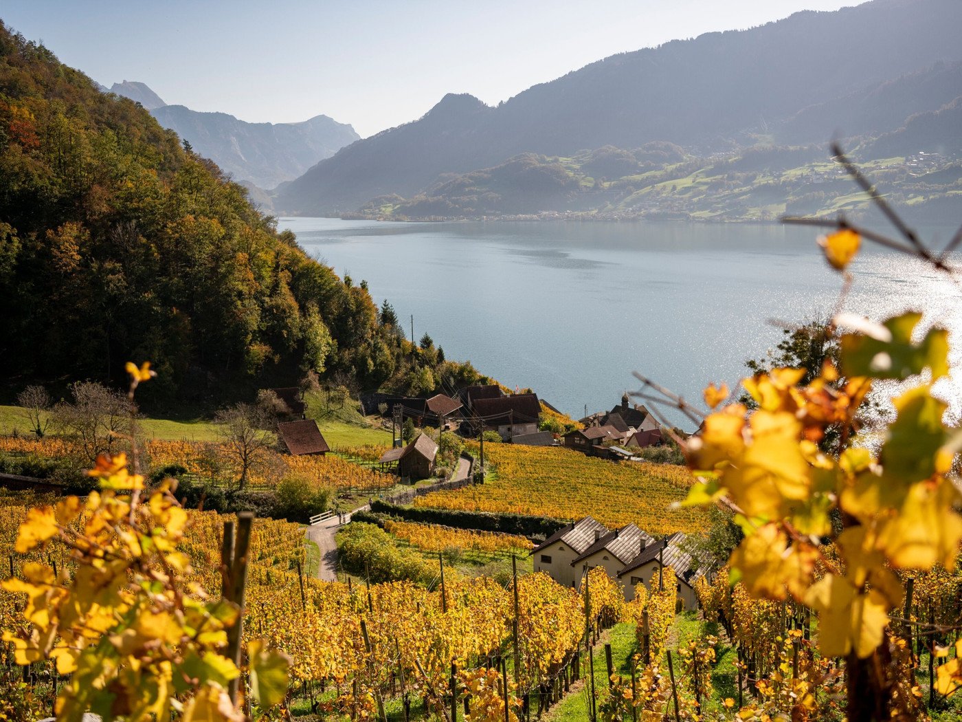 Wegen des milden Klimas: Quinten, auch bekannt als Riviera Walensee, ist ein beliebtes Ausflugsziel im November.