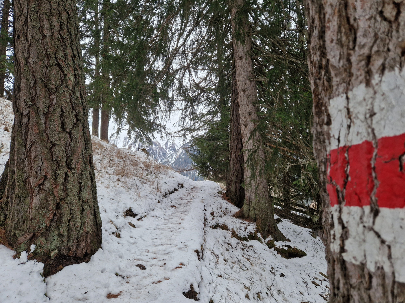 Im Winter wie im Sommer: Der Panoramaweg verspricht einen abwechslungsreichen Spaziergang.