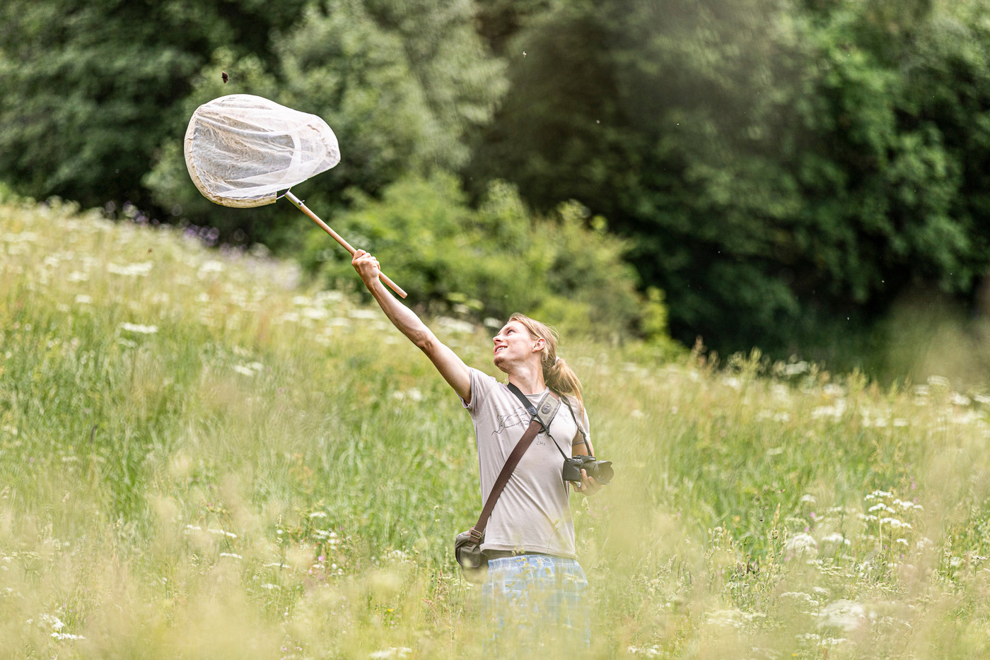 Mit dem Insektenkescher geht es auf Schmetterlingsjagd: Die Tiere werden nach der Bestimmung wieder freigelassen.