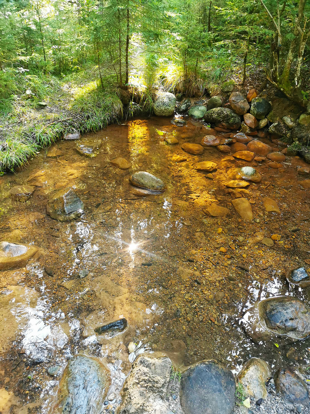 Besonderes Farbspiel: Die Arvadi-Quelle ist der letzte Posten des Wasserwegs und beeindruckt mit ihrer auffälligen Farbe. 