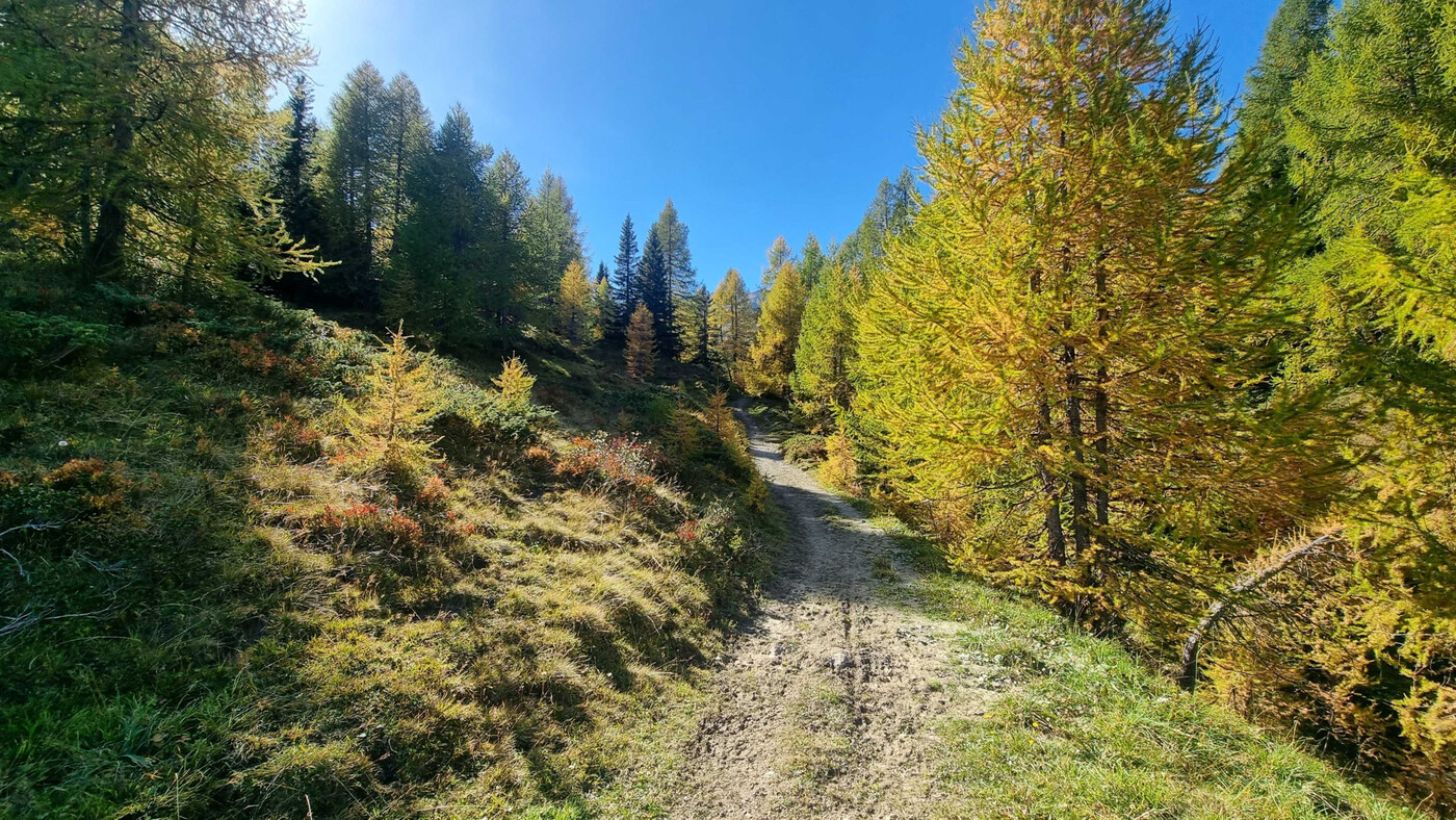 Prächtige Aussicht: Wenn sich die Bäume verfärben und der Sonnenstand tiefer wird, ist es Herbst.