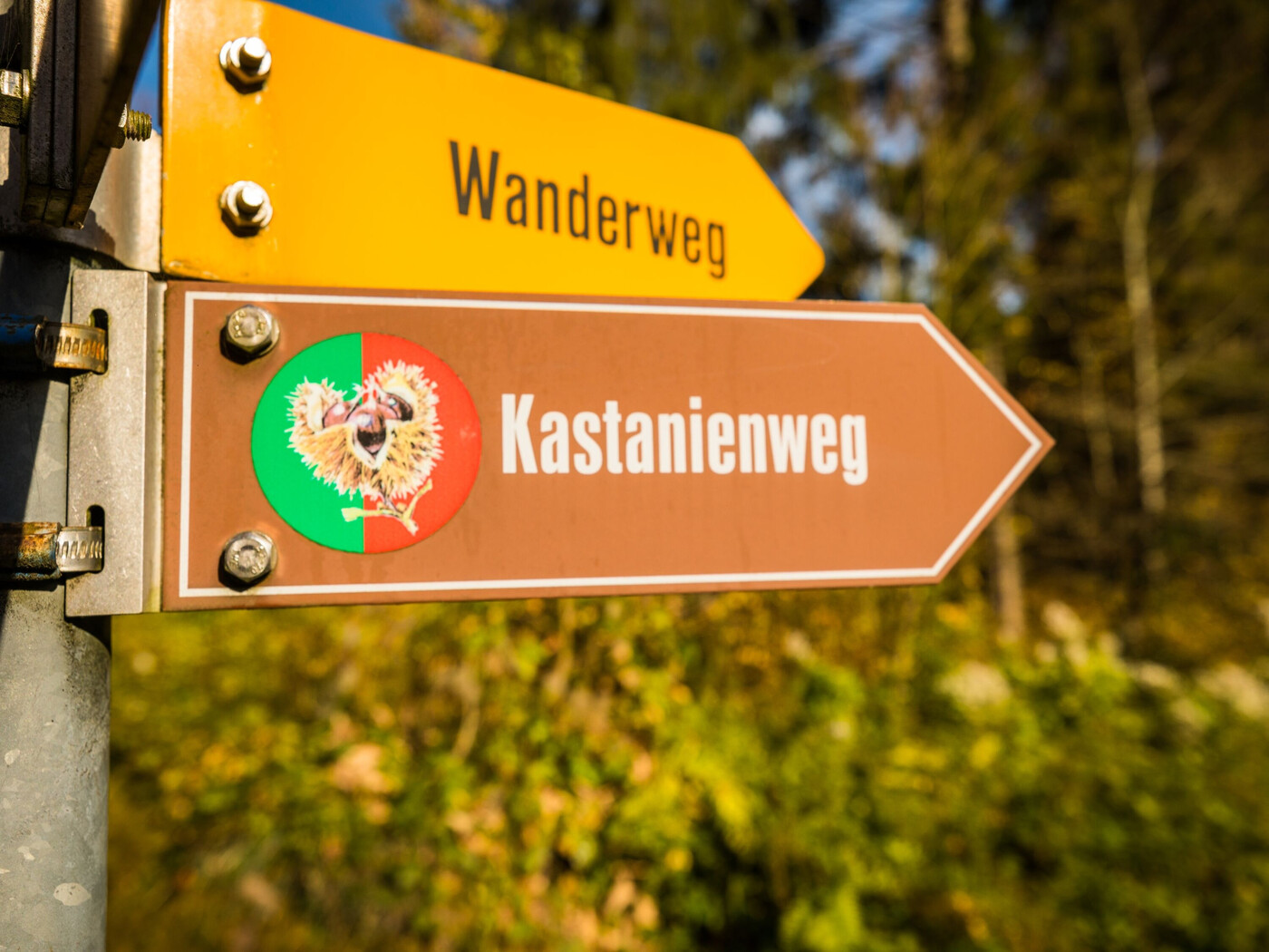 Wegweiser: Der Kastanienweg Murg ist ab dem Dorfplatz in Murg signalisiert. 