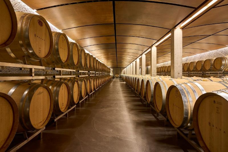 Viel Wein in den Fässern: Ein Highlight der Führung ist der Besuch des Barriquekellers, wo ihr die Reifung der Weine und ihr einzigartiges Aroma erleben könnt.