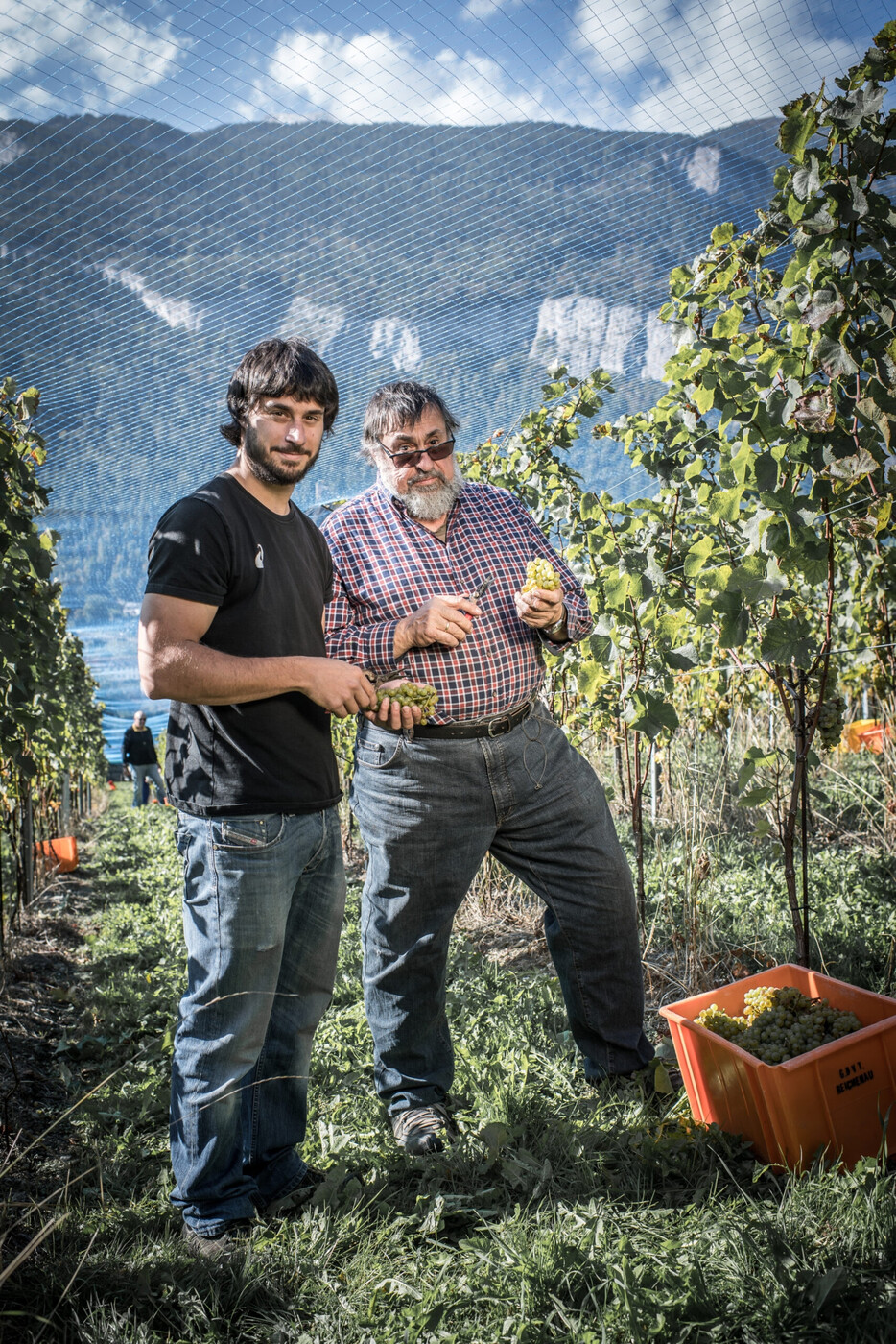 Wie der Vater so der Sohn: Johann-Baptista (links) und Gian-Battista während ihrer Arbeit in einer ihrer Rebanlagen.