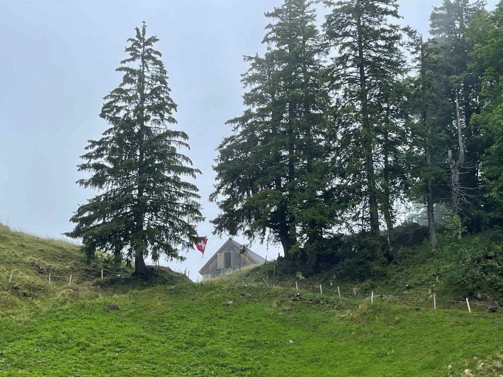 Zum Habergschwänd: Von Ennenda via Fronalp verläuft die Wanderung dem Schabziger Höhenweg entlang.