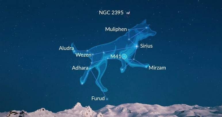 Astronomisch: Tatsächlich kommt der Name der Hundstage vom Sternbild des «Grossen Hundes». 