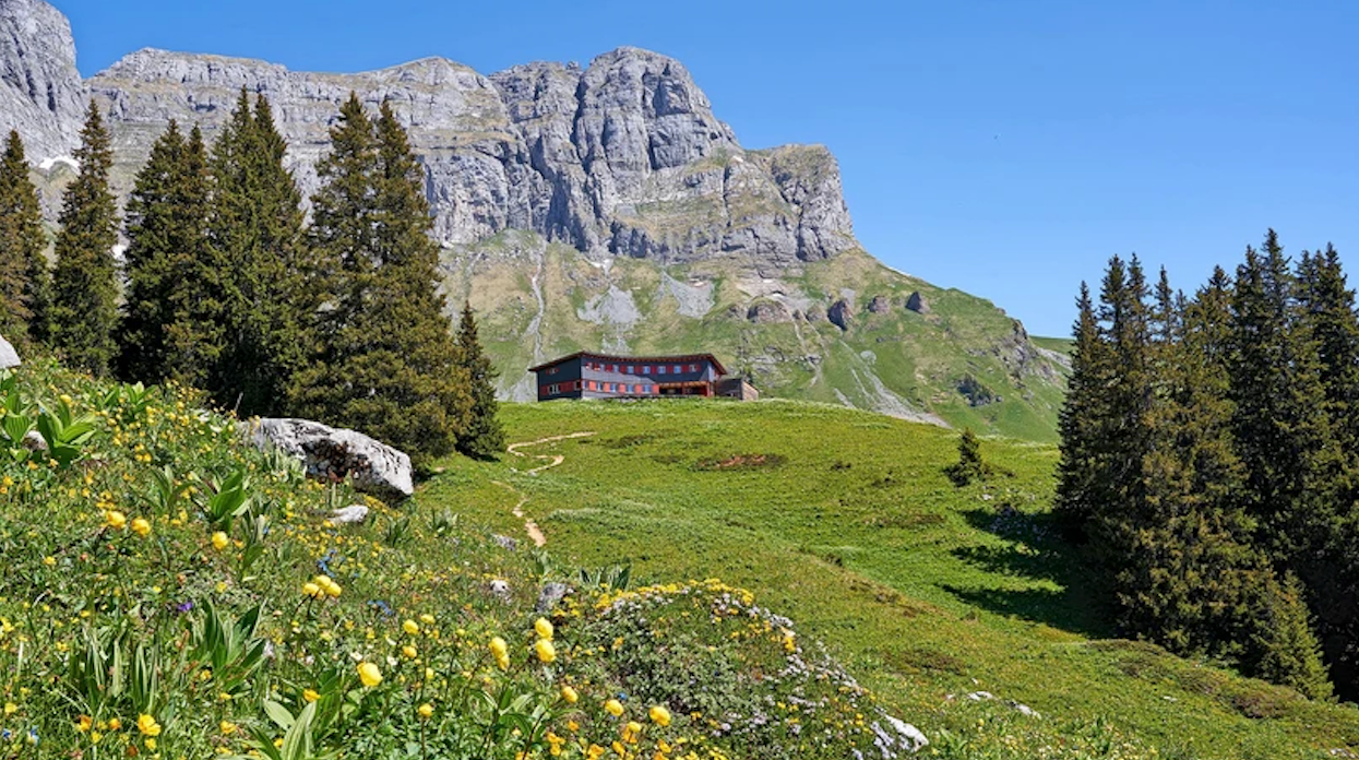 Die Tour für Einsteigerinnen und Einsteiger: Die Wanderung von der Bergstation der Braunwaldbahn bis zum Ortstockhaus dauert nur rund eine Stunde.