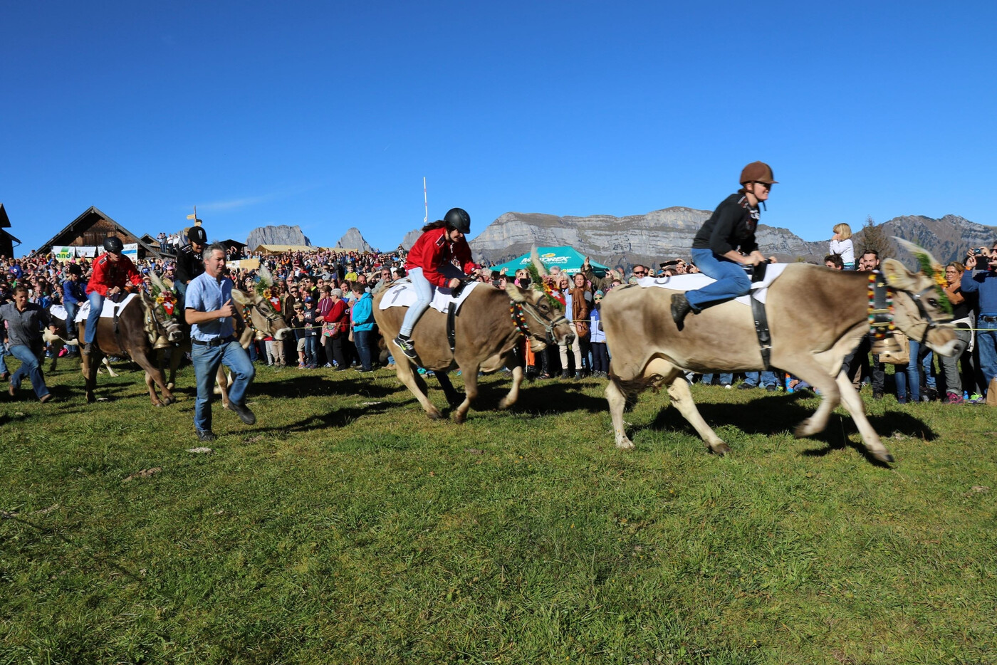 Die mutigen Reiterinnen machen Tempo: Den Zuschauerinnen und Zuschauern gefällts.